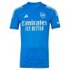 Officiële Voetbalshirt Doelman Arsenal Uit 2023-24 - Heren